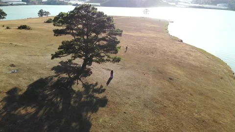 Aerial view of the pine at Suoi Vang lake, Dalat city, Vietnam Stock Footage 144181473