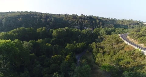 Aerial View Of Pine Tree Forest And Road Stock Footage 83129141