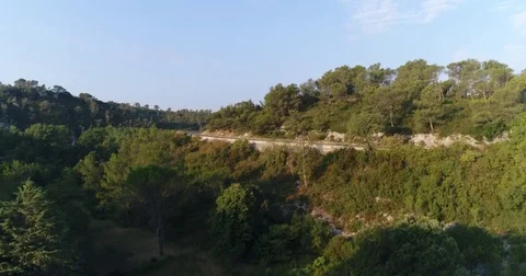 Aerial View Of Pine Tree Forest And Road Stock Footage 83129214