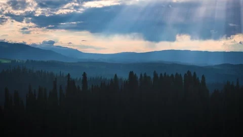 Aerial view of the pine tree forest backlit, rise towards moutians at sunset Vídeos de archivo 286798516