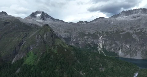 Aerial view of pine trees in beautiful forest landscape Stock Footage 247876860