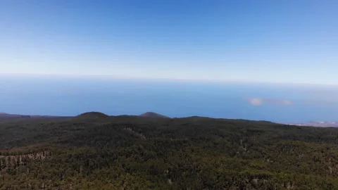 Aerial view of pine trees forest. Hill side of the mountain Teide. Drone shot. Video stock 158496929