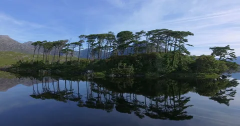 Aerial view of Pine Trees Island, Derryclare Lough - Lake, Galway, Ireland Stock-Footage 148753342