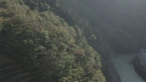 Aerial view of pine trees near the Nagashima dam in Shizuoka Stock Footage 201272447