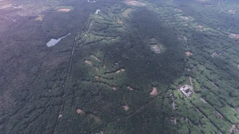 Aerial view of Pine Valley Golf Club. Pine Hill. New Jersey. United States Stock Footage 306345270