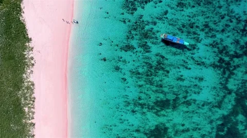 Aerial view of pink beach in indonesia 4k Stock Footage