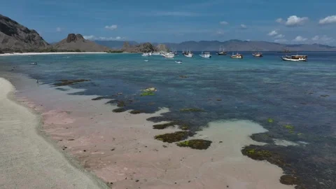 Aerial view pink beach on padar island indonesia Vídeo Stock 267356667
