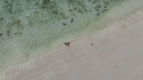 Aerial view pink beach on padar island indonesia Stock Footage 267356932