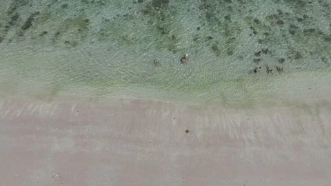 Aerial view pink beach on padar island indonesia Vídeo Stock 267356966