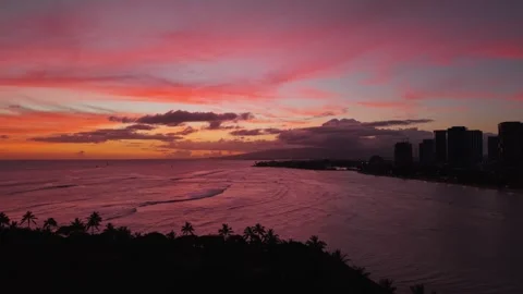 Aerial view of pink sunset over ocean with palm silhouettes in Hawaii 1 Stock Footage 346427924