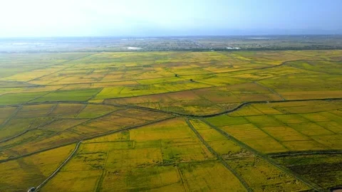 Aerial view of plain fields Stock Footage 295865020