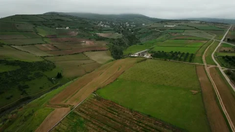 Aerial View of Plain, Green Wheat Field Drone Shot in Mountains Stock Footage 166065982