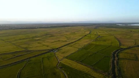Aerial view of plains and fields in autumn Stock Footage 295865519