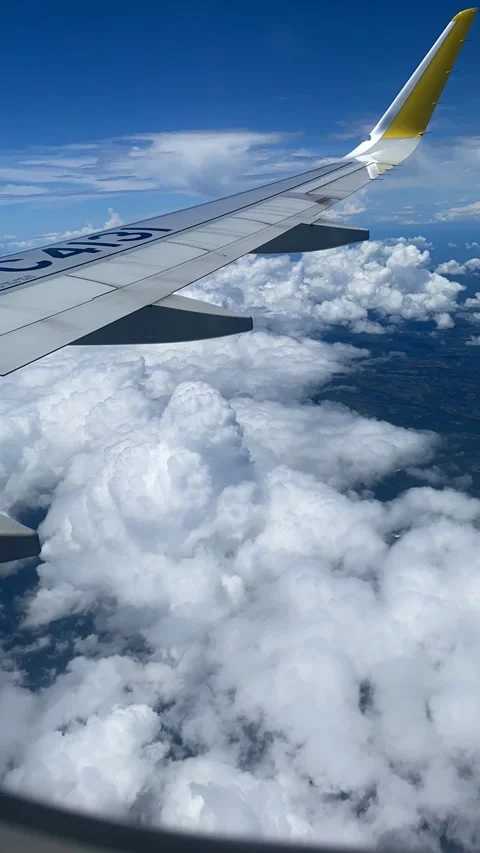 Aerial View from Plane Stock Footage 246250056