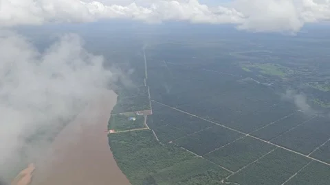 Aerial view from plane Stock Footage 316579113