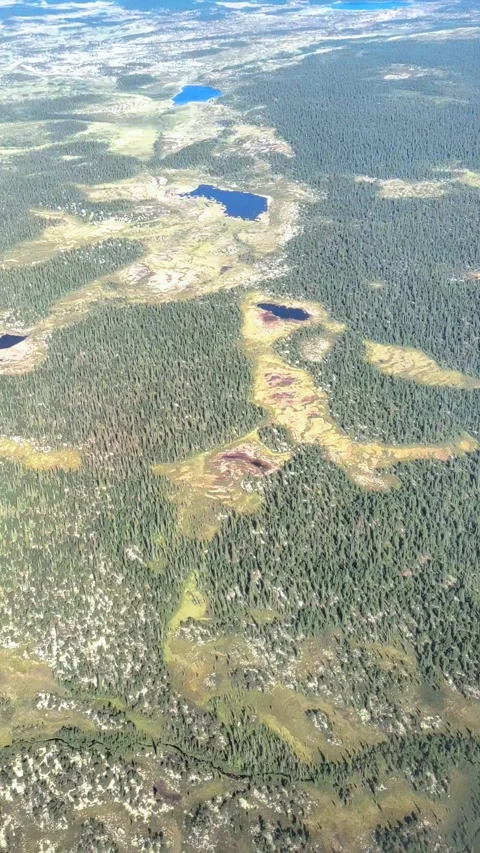 Aerial view from plane Window. Beautiful blue lakes and green forest. Stock Footage 291179776