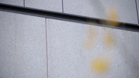 Aerial view of plank wall Video stock 166549798