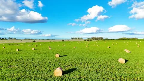 Aerial view of planted fields Foto stock