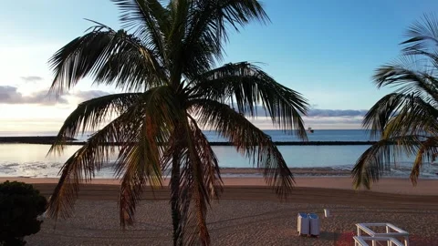 Aerial view of Playa de Las Teresitas on the Island of Tenerife - Canary Islands Stock Footage 246504367