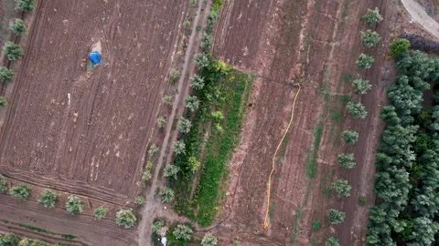 Aerial View of a Plowed Field Bordering a Grove of Trees Stock Footage 315908165
