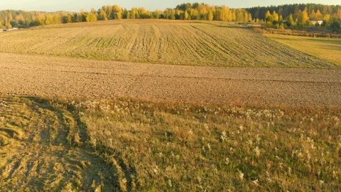 Aerial view of the plowed field during sunset Vidéo 108382043