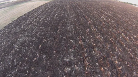 Aerial view of plowed field Stock Footage 40363759