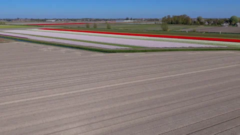 Aerial view of plowed field with parallel soil rows, colorful flower fields. Stock Footage 336853095