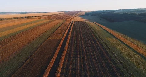 Aerial view of plowed fields and a village, during the evening. Stock Footage 114435047