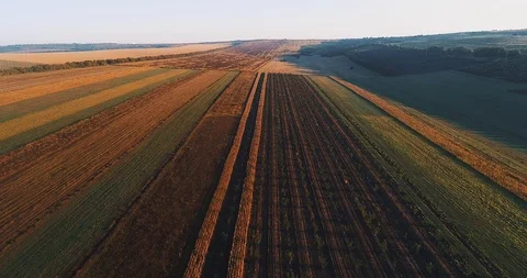 Aerial view of plowed fields during the evening. Stock Footage 114434469