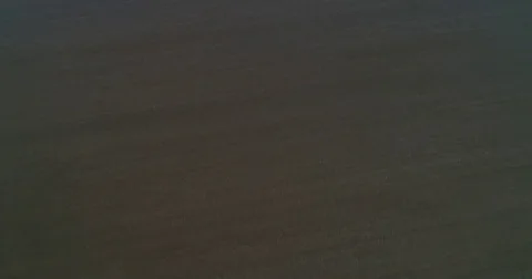 Aerial view of plowed weath fields Stock Footage 83065787