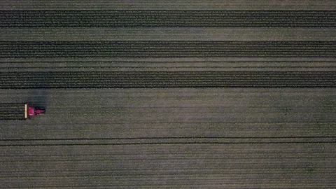 Aerial view of plowing farm tractor in field. Soil lines pattern Stock Footage
