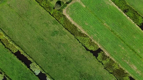 Aerial view of polder grasslands with parallel green strips and water channels Stock-Footage 317120899