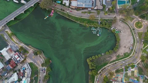 Aerial view of polluted green algae water in carlos paz argentina Stock-Footage 333842614