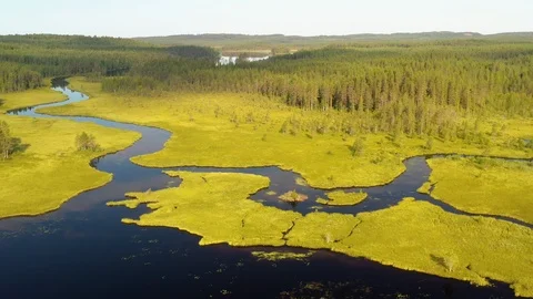 Aerial view of a pond and river with vast green taiga forest in summer Stock Footage 124405152