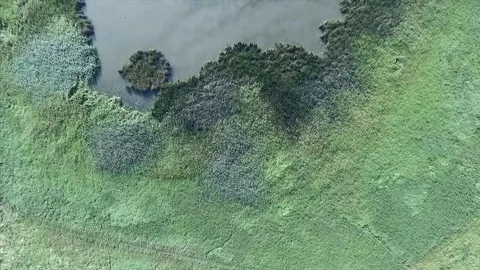 Aerial view of pond surrounded with grass. Stock Footage 70775702