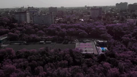 Aerial view of post apocalypse world: purple trees in park, buildings, stadiums Stockbeeldmateriaal 89653586