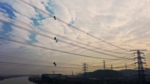 Aerial View of Power Grid Engineers Working on Electrical Infrastructure at Dusk Stock Footage 341910889