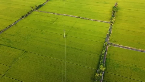 Aerial view of power lines over green rice fields in Vietnam Vídeos de archivo 335856143