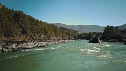 Aerial view of the powerful flow of the mountain green river Katun. A beautiful Stock Footage 149475403