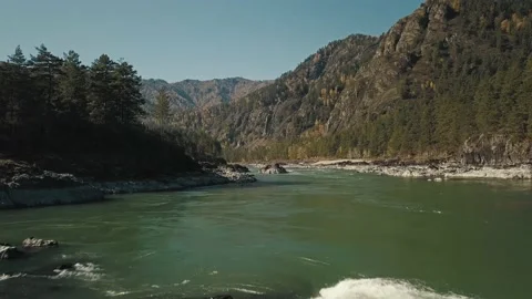 Aerial view of the powerful flow of the mountain green river Katun. A beautiful Stock Footage 149477850