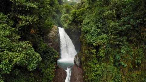 Aerial view of powerful waterfall flowing through rainforest with green foliage Stock Footage 341366368
