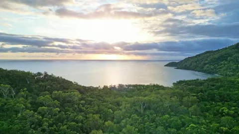Aerial view of pristine beach and rainforest at sunrise near Daintree Stock Footage 307877633