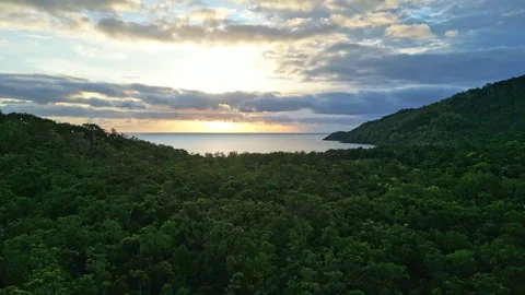 Aerial view of pristine beach and rainforest at sunrise near Daintree Stock Footage 307877634