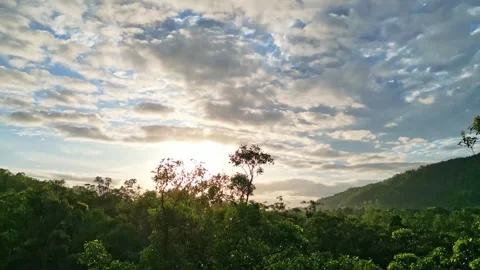 Aerial view of pristine beach and rainforest at sunrise near Daintree Stock Footage 307877638