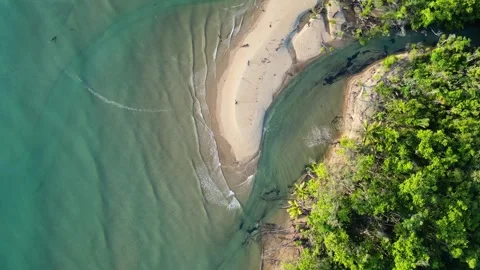 Aerial view of pristine beach and rainforest at sunrise near Daintree Stock Footage 307877663