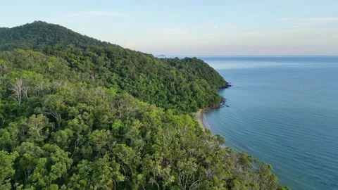 Aerial view of pristine beach and rainforest at sunrise near Daintree Stock Footage 307877664