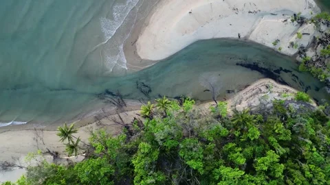 Aerial view of pristine beach and rainforest at sunrise near Daintree Stock Footage 307877668