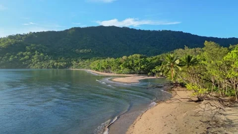 Aerial view of pristine beach and rainforest at sunrise near Daintree Stock Footage 307877677