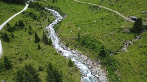 Aerial View of a Pristine Mountain River Winding Through Lush Green Austria.. Stock Footage 337042197