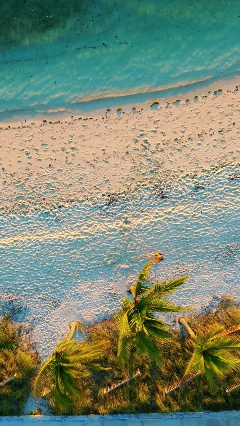 Aerial view of a pristine tropical beach with palm trees and clear water. Stock Footage 342239408